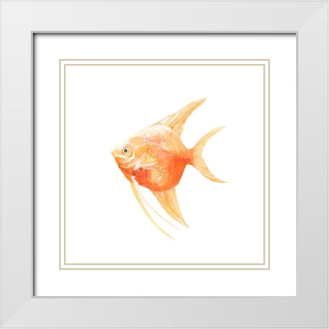 Discus Fish III White Modern Wood Framed Art Print with Double Matting by Scarvey, Emma