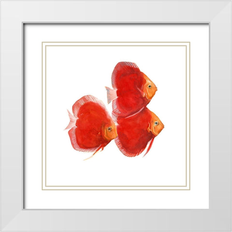 Discus Fish VI White Modern Wood Framed Art Print with Double Matting by Scarvey, Emma