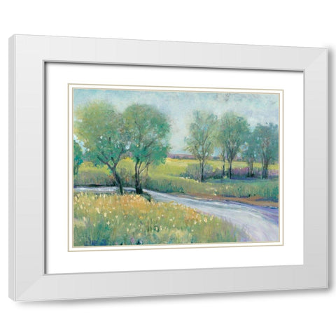 Summer Stream I White Modern Wood Framed Art Print with Double Matting by OToole, Tim