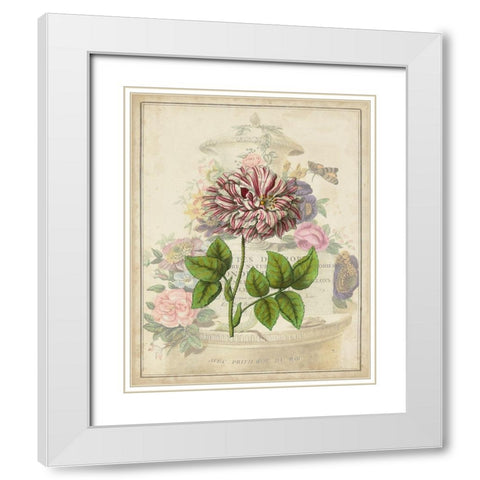 Vintage Rose Bookplate White Modern Wood Framed Art Print with Double Matting by Vision Studio