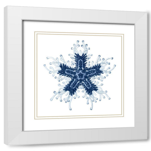 Navy Ocean Gems IV White Modern Wood Framed Art Print with Double Matting by Vision Studio