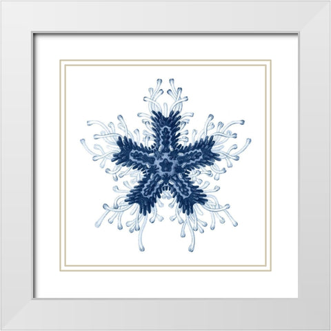 Navy Ocean Gems IV White Modern Wood Framed Art Print with Double Matting by Vision Studio