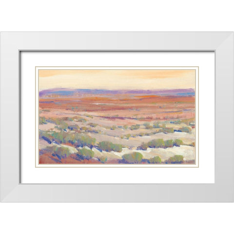 High Desert Pastels II White Modern Wood Framed Art Print with Double Matting by OToole, Tim