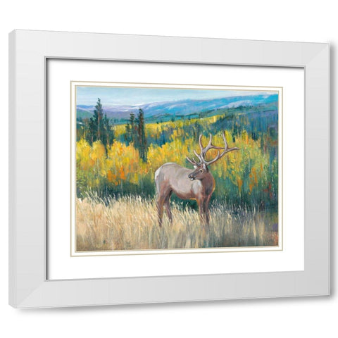 View From the Top I White Modern Wood Framed Art Print with Double Matting by OToole, Tim