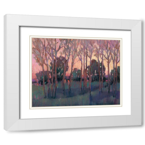 Morning Light I White Modern Wood Framed Art Print with Double Matting by OToole, Tim