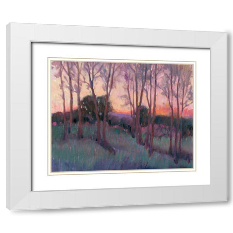 Morning Light II White Modern Wood Framed Art Print with Double Matting by OToole, Tim