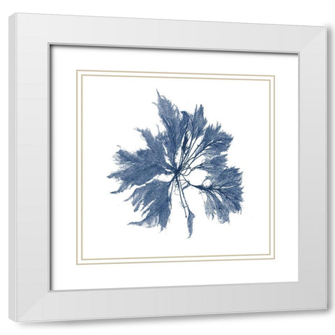 Navy Seaweed I White Modern Wood Framed Art Print with Double Matting by Vision Studio