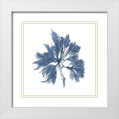 Navy Seaweed I White Modern Wood Framed Art Print with Double Matting by Vision Studio