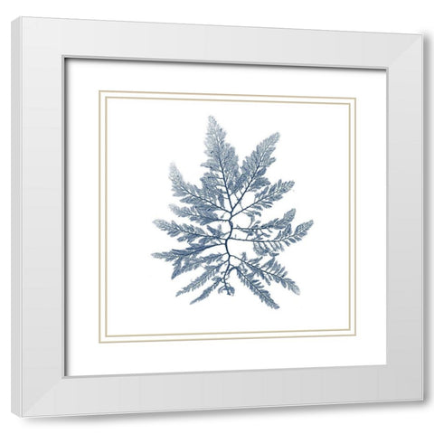 Navy Seaweed II White Modern Wood Framed Art Print with Double Matting by Vision Studio