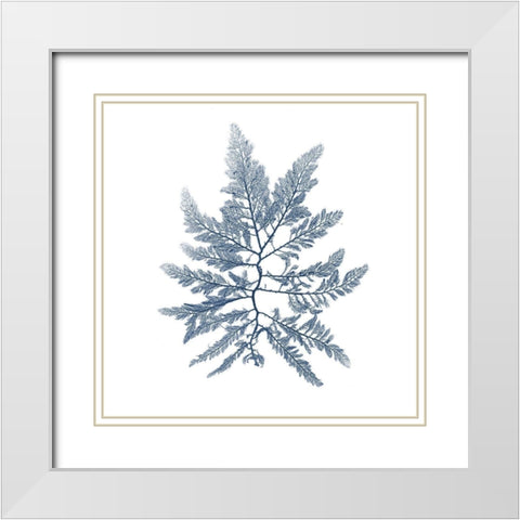 Navy Seaweed II White Modern Wood Framed Art Print with Double Matting by Vision Studio