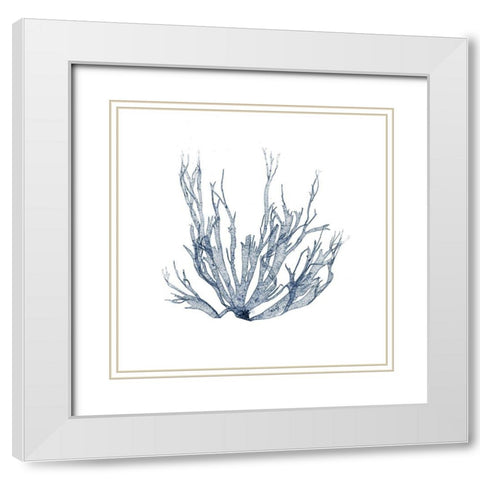 Navy Seaweed IV White Modern Wood Framed Art Print with Double Matting by Vision Studio