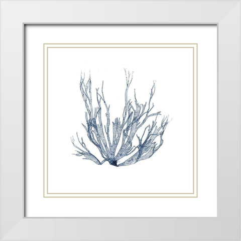 Navy Seaweed IV White Modern Wood Framed Art Print with Double Matting by Vision Studio
