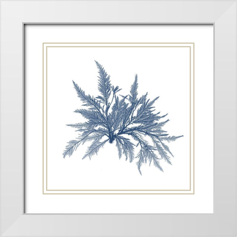 Navy Seaweed V White Modern Wood Framed Art Print with Double Matting by Vision Studio