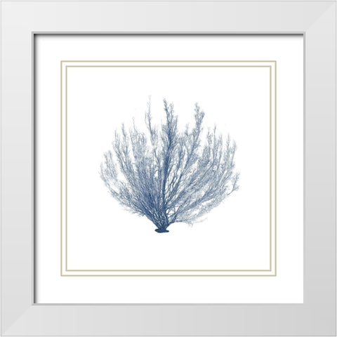 Navy Seaweed VI White Modern Wood Framed Art Print with Double Matting by Vision Studio