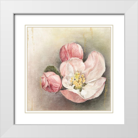 Enlightenment Blossom I White Modern Wood Framed Art Print with Double Matting by Liama, Lily