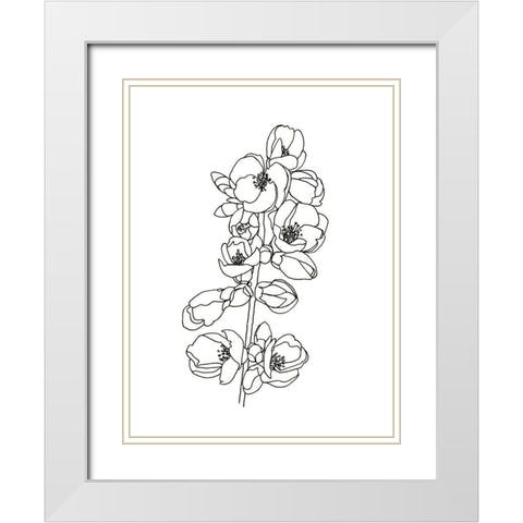 Quince Blossom Contour I White Modern Wood Framed Art Print with Double Matting by Scarvey, Emma