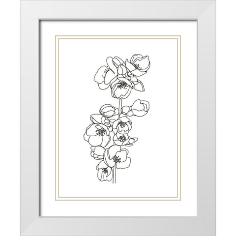 Quince Blossom Contour II White Modern Wood Framed Art Print with Double Matting by Scarvey, Emma