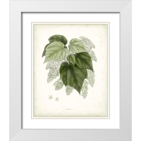 Sage Botanical III White Modern Wood Framed Art Print with Double Matting by Vision Studio