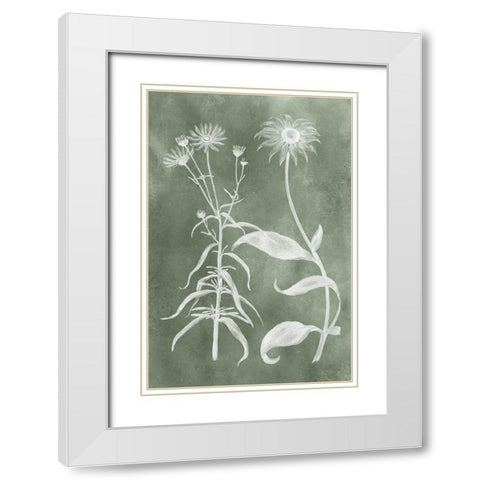 Sage Impressions IV White Modern Wood Framed Art Print with Double Matting by Vision Studio