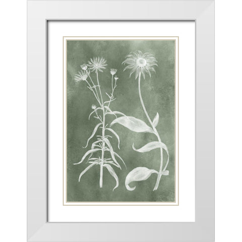 Sage Impressions IV White Modern Wood Framed Art Print with Double Matting by Vision Studio