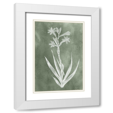 Sage Impressions V White Modern Wood Framed Art Print with Double Matting by Vision Studio