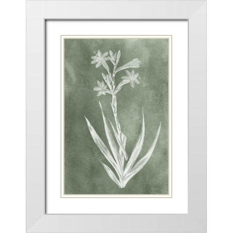 Sage Impressions V White Modern Wood Framed Art Print with Double Matting by Vision Studio