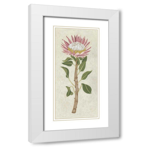 Non-Embellished Protea I White Modern Wood Framed Art Print with Double Matting by Zarris, Chariklia