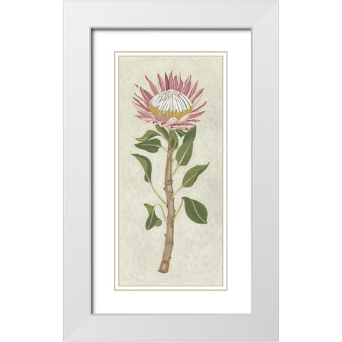 Non-Embellished Protea I White Modern Wood Framed Art Print with Double Matting by Zarris, Chariklia