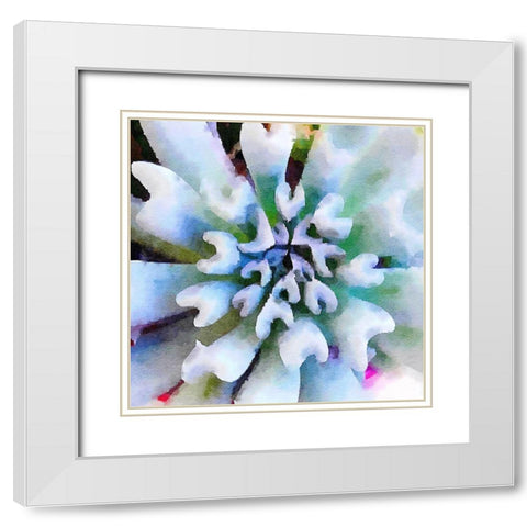Succulente I White Modern Wood Framed Art Print with Double Matting by Bolick, Vicki Gladle