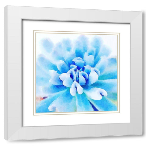 Succulente III White Modern Wood Framed Art Print with Double Matting by Bolick, Vicki Gladle