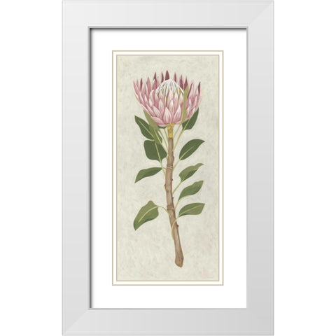 Non-Embellished Protea II White Modern Wood Framed Art Print with Double Matting by Zarris, Chariklia