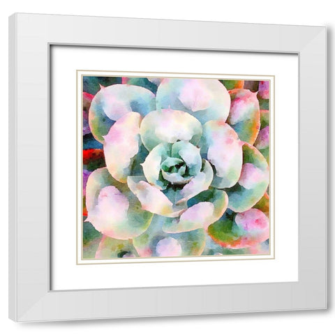 Succulente V White Modern Wood Framed Art Print with Double Matting by Bolick, Vicki Gladle