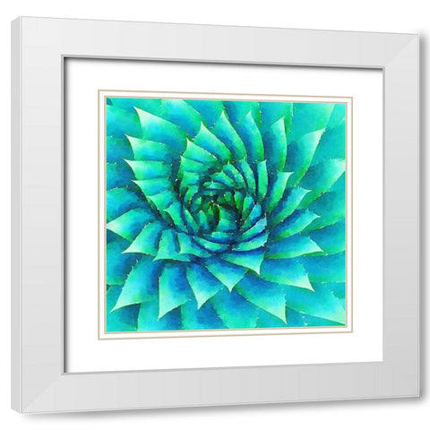 Succulente VI White Modern Wood Framed Art Print with Double Matting by Bolick, Vicki Gladle