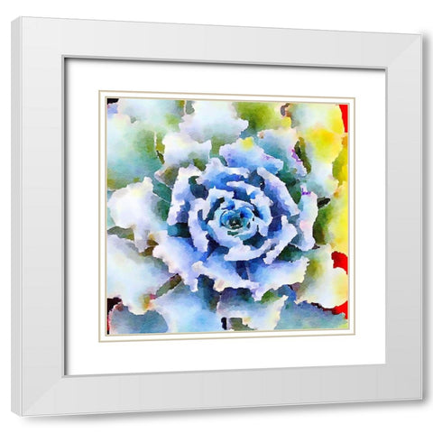 Succulente VII White Modern Wood Framed Art Print with Double Matting by Bolick, Vicki Gladle