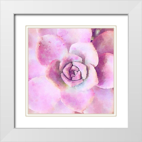 Succulente VIII White Modern Wood Framed Art Print with Double Matting by Bolick, Vicki Gladle