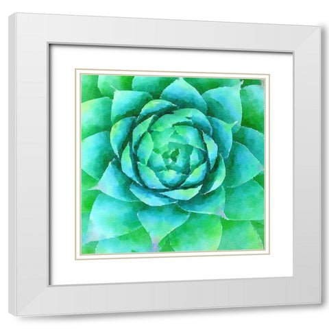 Succulente X White Modern Wood Framed Art Print with Double Matting by Bolick, Vicki Gladle