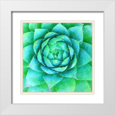Succulente X White Modern Wood Framed Art Print with Double Matting by Bolick, Vicki Gladle