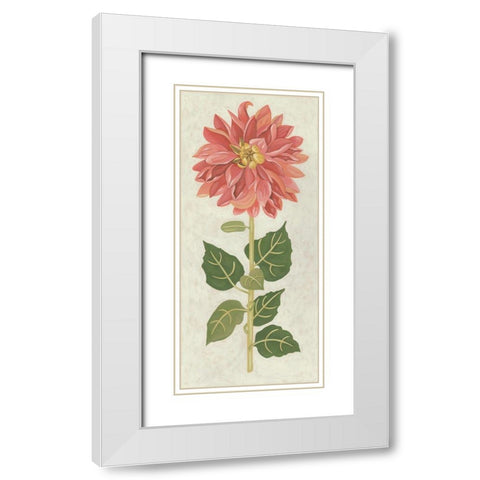 Non-Embellished Dahlia I White Modern Wood Framed Art Print with Double Matting by Zarris, Chariklia