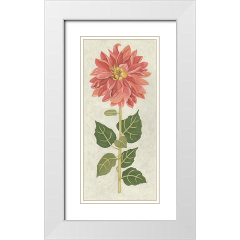 Non-Embellished Dahlia I White Modern Wood Framed Art Print with Double Matting by Zarris, Chariklia