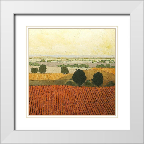 After Harvest White Modern Wood Framed Art Print with Double Matting by Friedlander, Allen