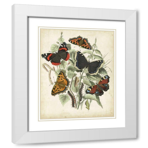 Non-Embellished Butterfly Haven I White Modern Wood Framed Art Print with Double Matting by Vision Studio