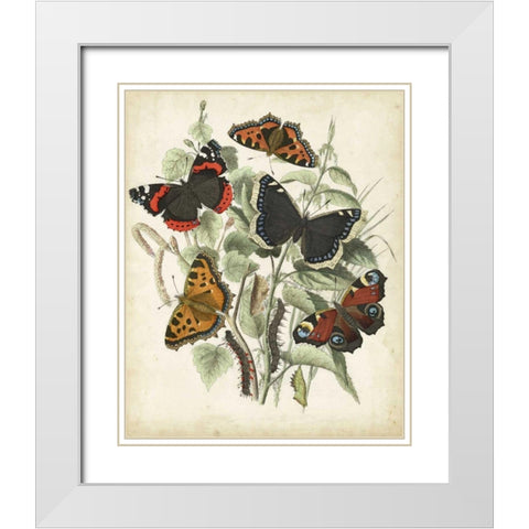 Non-Embellished Butterfly Haven I White Modern Wood Framed Art Print with Double Matting by Vision Studio