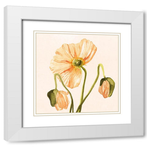 Highpoint Poppies I White Modern Wood Framed Art Print with Double Matting by Scarvey, Emma