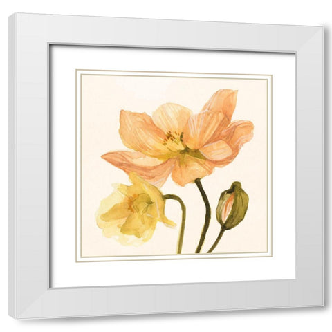 Highpoint Poppies II White Modern Wood Framed Art Print with Double Matting by Scarvey, Emma