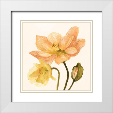 Highpoint Poppies II White Modern Wood Framed Art Print with Double Matting by Scarvey, Emma