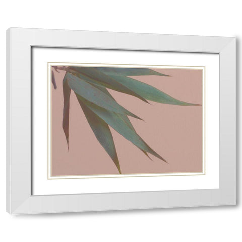 Bamboo Pink IV White Modern Wood Framed Art Print with Double Matting by Stramel, Renee W.