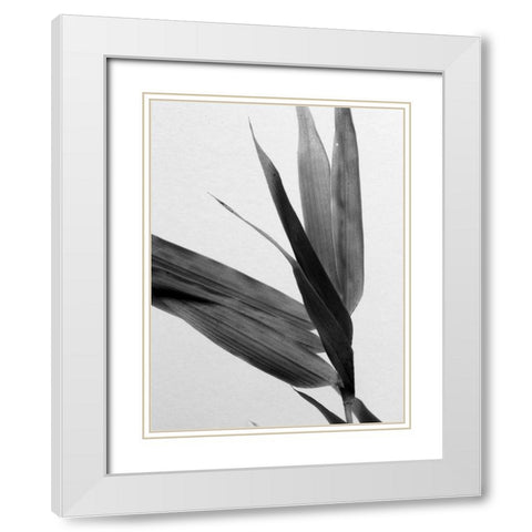 BandW Bamboo III White Modern Wood Framed Art Print with Double Matting by Stramel, Renee W.