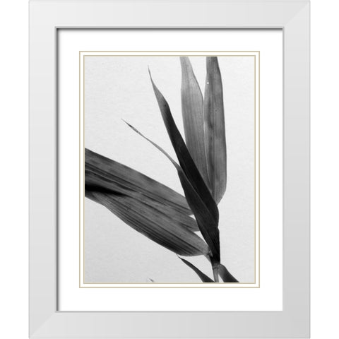 BandW Bamboo III White Modern Wood Framed Art Print with Double Matting by Stramel, Renee W.