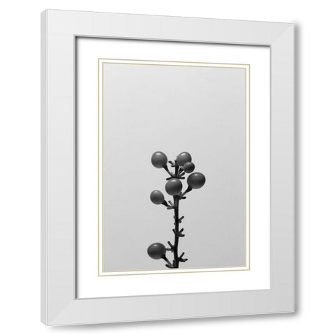 Liriope II White Modern Wood Framed Art Print with Double Matting by Stramel, Renee W.