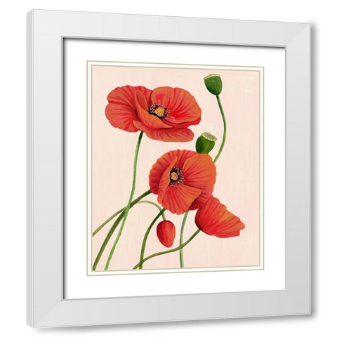 Soft Coral Poppies I White Modern Wood Framed Art Print with Double Matting by Popp, Grace